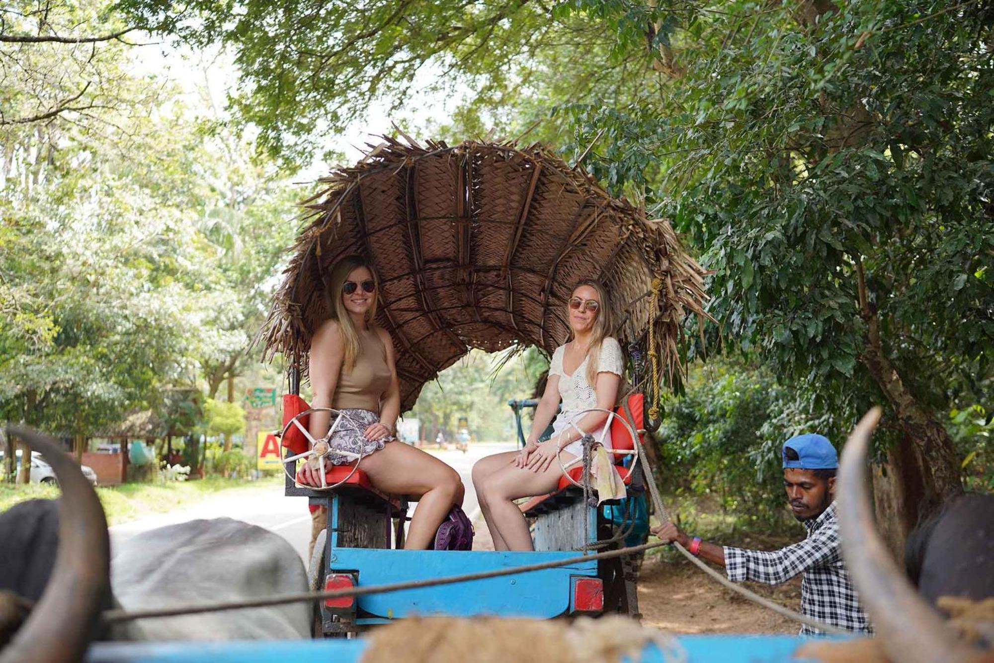 Sigiriya Kingdom Resort ดัมบูลลา ภายนอก รูปภาพ