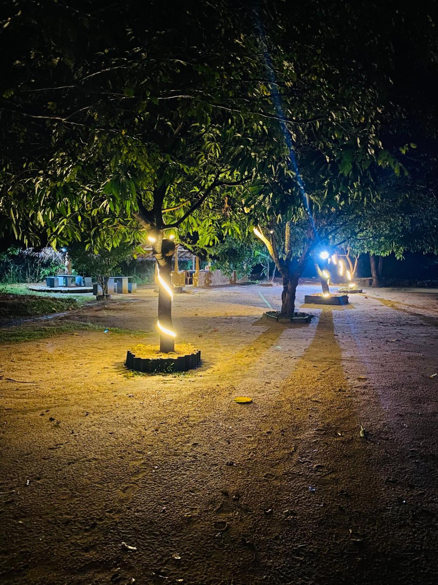 Sigiriya Kingdom Resort ดัมบูลลา ภายนอก รูปภาพ